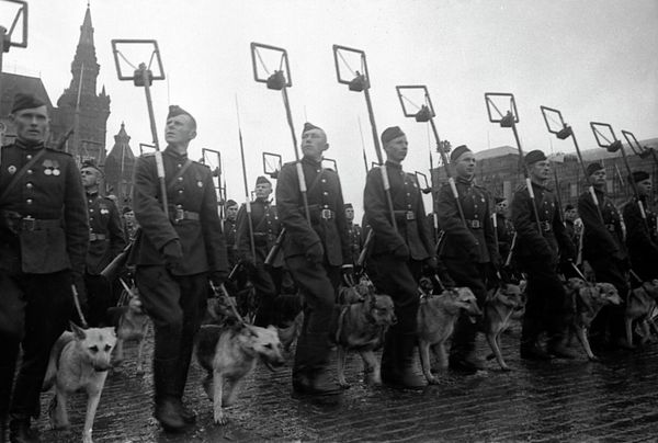 75th Anniversary: What to Know About First WWII Victory Day Parade in Moscow - Sputnik International