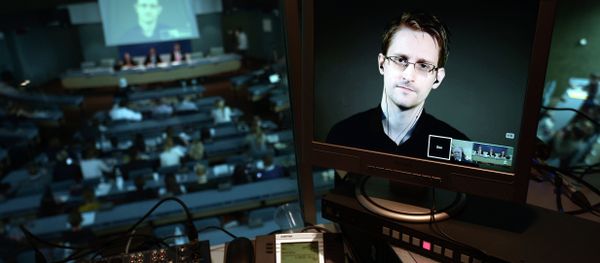 NSA former intelligence contractor Edward Snowden is seen via live video link from Russia on a computer screen during a parliamentary hearing on the subject of Improving the protection of whistleblowers, on June 23, 2015, at the Council of Europe in Strasbourg - Sputnik International