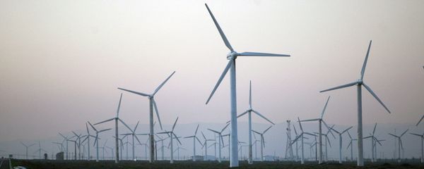 Wind turbines produced by Goldwind Science & Technology Ltd. are seen at the Da Bancheng Wind Farm, south of Urumqi, in Xinjiang, China - Sputnik International