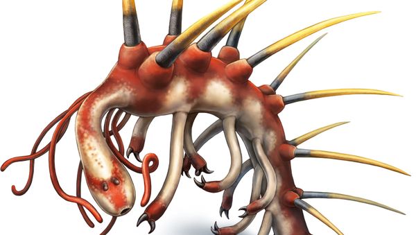An artist's colour reconstruction of Hallucigenia sparsa is shown in this image released to Reuters on June 23, 2015 - Sputnik International