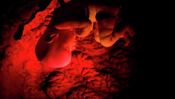 Human embryo Human embryo - Sputnik International