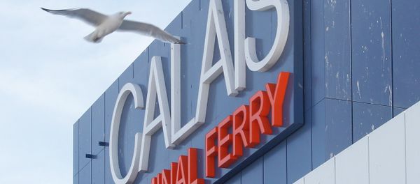 A seagull flies past he car ferry terminal in Calais, northern France, Monday, June 29, 2015. - Sputnik International