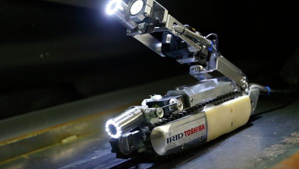 The scorpion-robot developed by Toshiba Corp. is demonstrated at its laboratory in Yokohama, near Tokyo, Tuesday, June 30, 2015. - Sputnik International