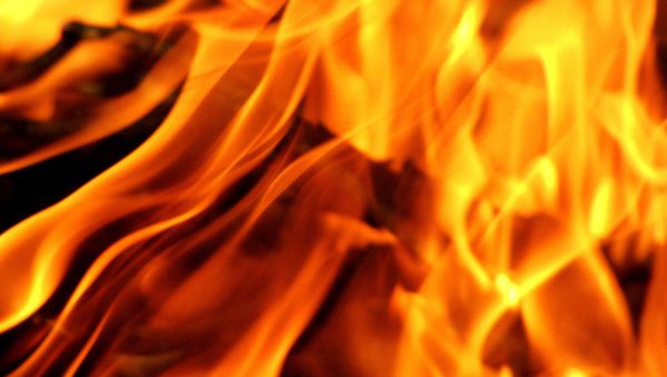 New Mom Started Wildfire to Call for Help After Giving Birth in Wilderness - Sputnik International