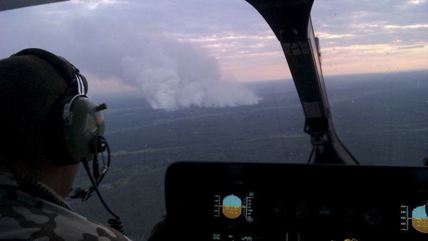 An aerial view from a helicopter shows smoke from forest fires some 40 km from Chernobyl nuclear power plant in Kiev region, northern Ukraine, June 29, 2015. Picture taken with a mobile phone on June 29, 2015 An aerial view from a helicopter shows smoke from forest fires some 40 km from Chernobyl nuclear power plant in Kiev region, northern Ukraine, June 29, 2015. Picture taken with a mobile phone on June 29, 2015 - Sputnik International
