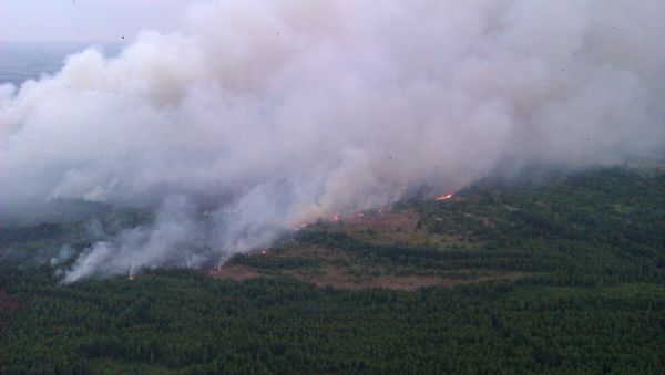 In this Monday, June 29, 2015 handout photo made available by the Ukrainian Emergency Situations Ministry press service on Tuesday, June 30, 2015, an aerial view of a forest fire is seen in the Chernobyl area, Ukraine - Sputnik International