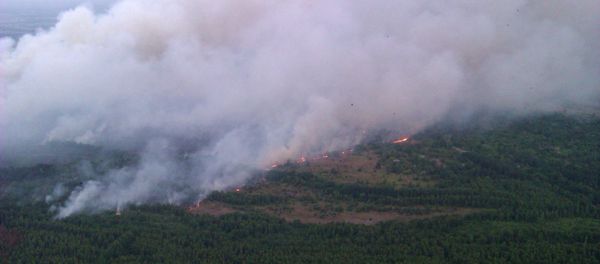 In this Monday, June 29, 2015 handout photo made available by the Ukrainian Emergency Situations Ministry press service on Tuesday, June 30, 2015, an aerial view of a forest fire is seen in the Chernobyl area, Ukraine In this Monday, June 29, 2015 handout photo made available by the Ukrainian Emergency Situations Ministry press service on Tuesday, June 30, 2015, an aerial view of a forest fire is seen in the Chernobyl area, Ukraine - Sputnik International