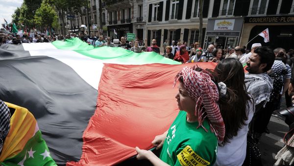 Protesters unfold a large Palestinian flag during a pro-Palestinian demonstration in Paris on August 2, 2014 Protesters unfold a large Palestinian flag during a pro-Palestinian demonstration in Paris on August 2, 2014 - Sputnik International