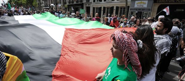 Protesters unfold a large Palestinian flag during a pro-Palestinian demonstration in Paris on August 2, 2014 Protesters unfold a large Palestinian flag during a pro-Palestinian demonstration in Paris on August 2, 2014 - Sputnik International