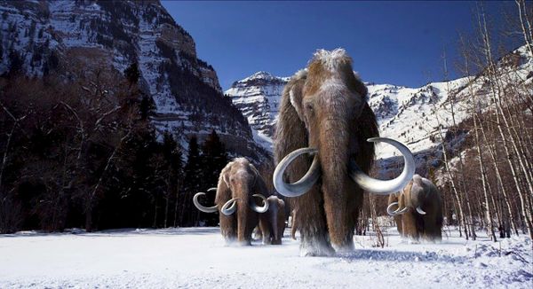 Japanese Scientist Reveals When New Ice Age is Set to Begin on Earth - Sputnik International