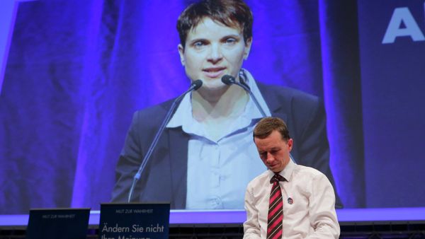 Frauke Petry appears on a large screen after being elected as leader of the eurosceptic party Alternative fuer Deutschland (AfD) while former leader Bernd Lucke wathces at the AfD's party congress in Essen, western Germany, July 4, 2015 Frauke Petry appears on a large screen after being elected as leader of the eurosceptic party Alternative fuer Deutschland (AfD) while former leader Bernd Lucke wathces at the AfD's party congress in Essen, western Germany, July 4, 2015 - Sputnik International
