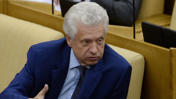 Plenary meeting of the State Duma of the Russian Federation - Sputnik International