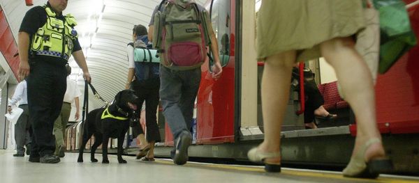 Counter Terrorism Police Dog, officer Vinni, sniffs for explosives as he patrols Liverpool Street underground platform as passengers alight from a tube train, Wednesday July 20, 2005, as security is stepped up at Liverpool Street Tube Station in London. Counter Terrorism Police Dog, officer Vinni, sniffs for explosives as he patrols Liverpool Street underground platform as passengers alight from a tube train, Wednesday July 20, 2005, as security is stepped up at Liverpool Street Tube Station in London. - Sputnik International