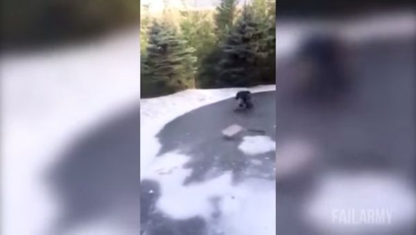Smells Like Teen Shovel Coub - Sputnik International