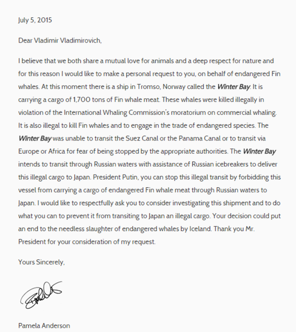 Actress and activist Pamela Anderson's letter to Russian President Vladimir Putin - Sputnik International