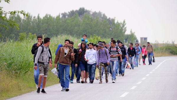 Migrants, .mostly from Syria, headed for EU member Hungary, walk in groups towards Hungary in Kanjiza, North Serbia, near the Hungarian border - Sputnik International