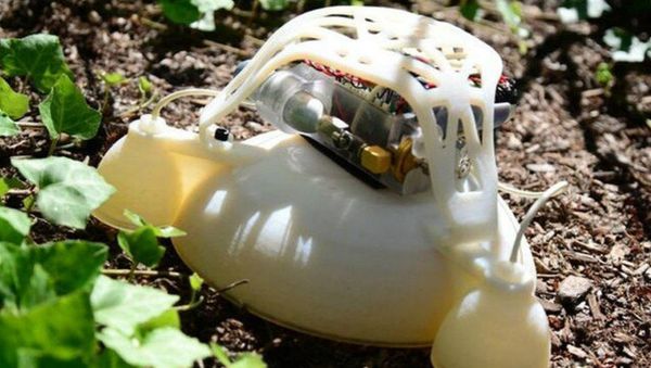 A 3-D printed functionally graded soft robot - Sputnik International