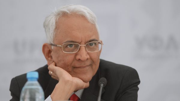 Pundi Srinivasan, Ambassador Extraordinary and Plenipotentiary of the Republic of India to the Russian Federation - Sputnik International