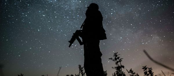 A Ukrainian serviceman guards the positions near Donetsk, eastern Ukraine, Saturday, June 6, 2015 A Ukrainian serviceman guards the positions near Donetsk, eastern Ukraine, Saturday, June 6, 2015 - Sputnik International