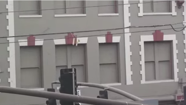 Sex Toy Scandal: Hundreds of Dildos Dangle from Portland Powerlines - Sputnik International