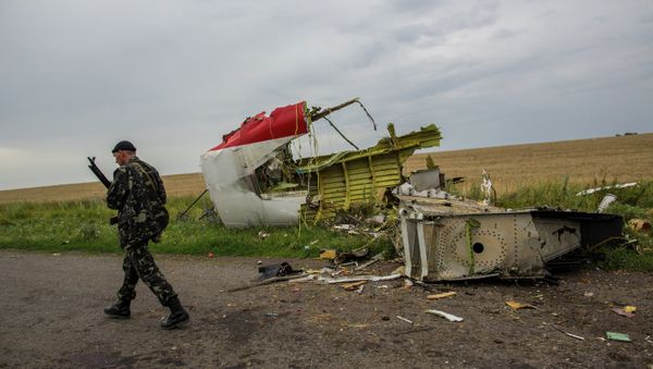 At the crash site of Malaysia Airlines flight MH17 in Ukraine At the crash site of Malaysia Airlines flight MH17 in Ukraine - Sputnik International