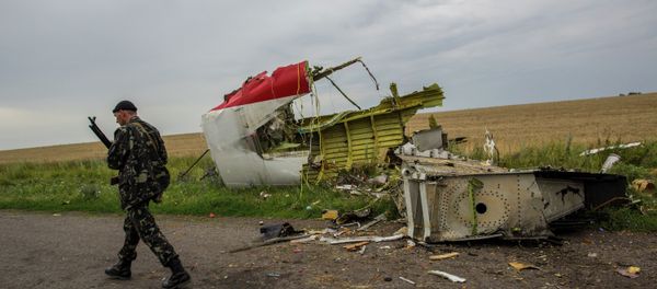 At the crash site of Malaysia Airlines flight MH17 near Shaktyorsk - Sputnik International