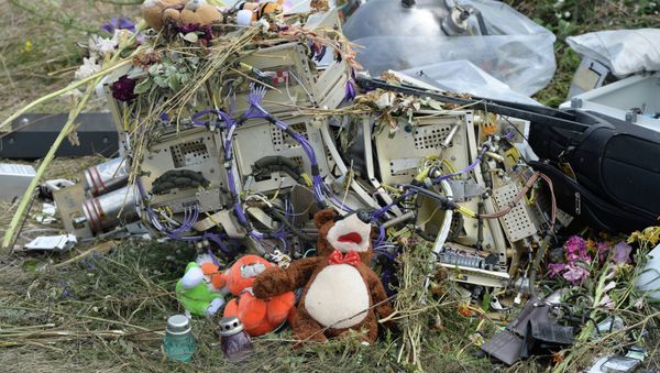 OSCE officials and experts inspect site of Malaysia Airlines Boeing 777 crash - Sputnik International