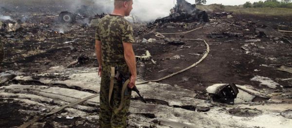 An armed man stands at the site of a Malaysia Airlines Boeing 777 plane crash in the settlement of Grabovo in the Donetsk region, in this July 17, 2014 file picture - Sputnik International