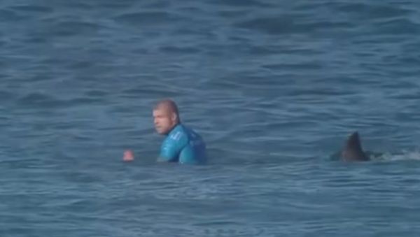 Shark Attacks Professional Surfer - Sputnik International
