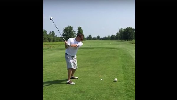Golfer Kills Seagull With One Golf Ball - Sputnik International