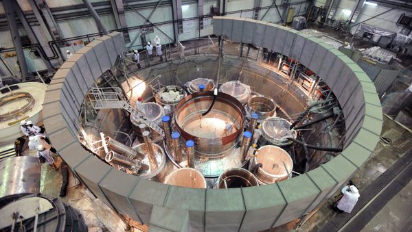 Egypt's Sisi to Discuss China's Bid to Build Egyptian Nuclear Power Plant - Sputnik International