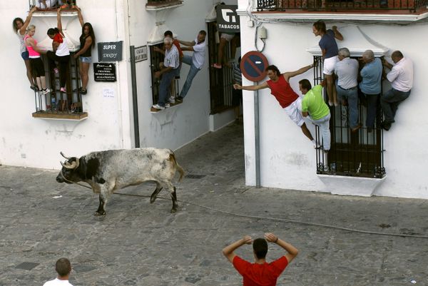 This Week in Pictures This Week in Pictures - Sputnik International