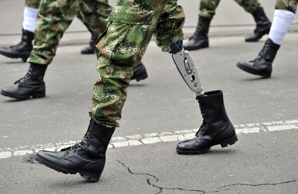 This Week in Pictures This Week in Pictures - Sputnik International