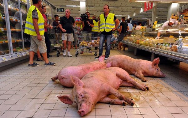 Out of the blue, three rather dirty pigs disturbed the peace in a supermarket in the French city of Agen. - Sputnik International