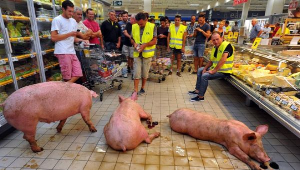 Out of the blue, three rather dirty pigs disturbed the peace in a supermarket in the French city of Agen. - Sputnik International