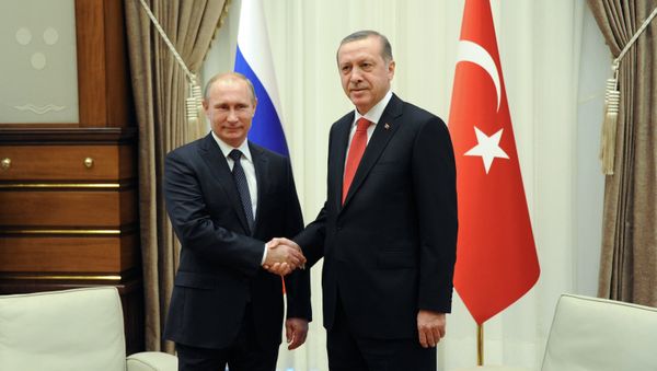 Vladimir Putin's working visit to Turkey Vladimir Putin's working visit to Turkey - Sputnik International
