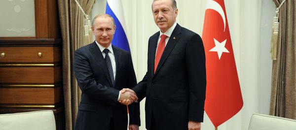 Vladimir Putin's working visit to Turkey - Sputnik International