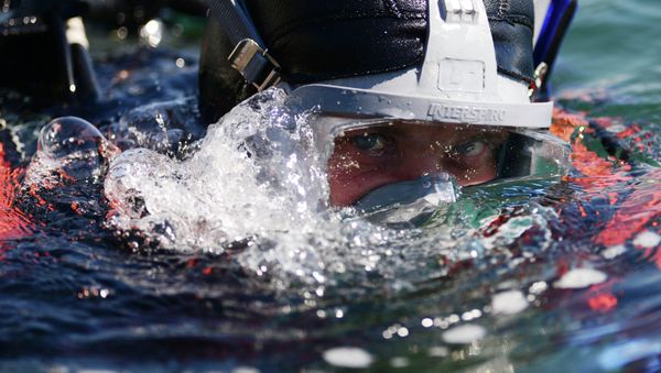 Diver. File photo Diver. File photo - Sputnik International