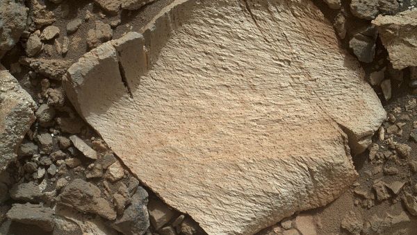 NASA's Curiosity rover photographed this rock fragment, dubbed Lamoose, on Mars. NASA's Curiosity rover photographed this rock fragment, dubbed Lamoose, on Mars. - Sputnik International