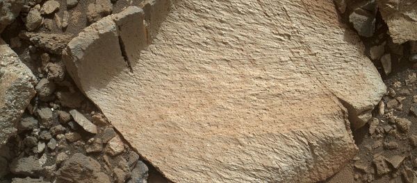NASA's Curiosity rover photographed this rock fragment, dubbed Lamoose, on Mars. - Sputnik International