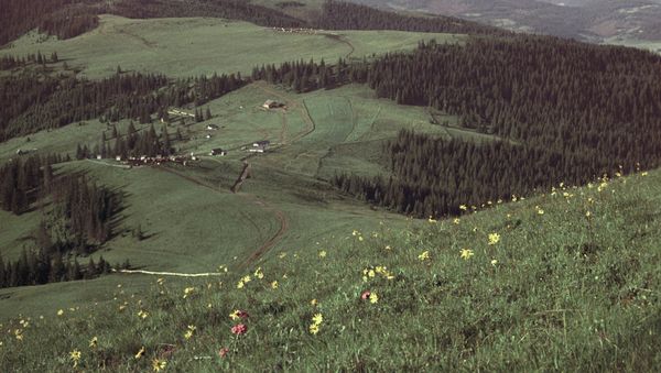 A village in Bukovina - Sputnik International