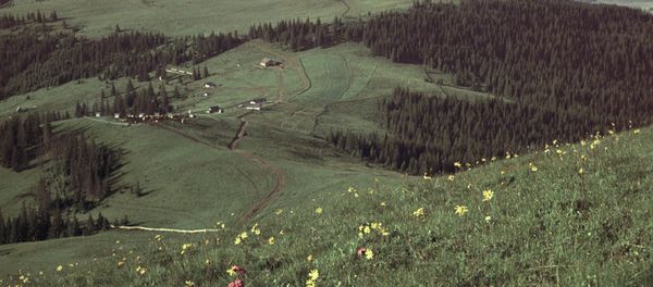 A village in Bukovina - Sputnik International