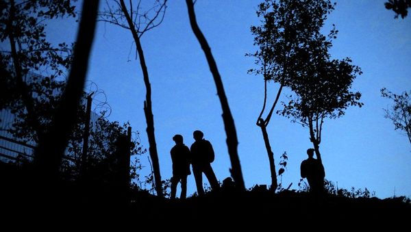 Migrants stand near a road leading to the Channel Tunnel, in Calais, northern France, Thursday, July 30, 2015. - Sputnik International