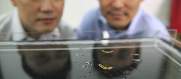 Scientists at Seoul National University examine their robot's extreme form of locomotion - Sputnik International