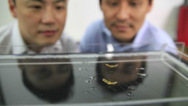 Scientists at Seoul National University examine their robot's extreme form of locomotion - Sputnik International