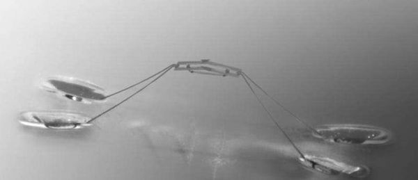 Scientists Invent Robotic Jesus Bug That Walks on Water Scientists Invent Robotic Jesus Bug That Walks on Water - Sputnik International