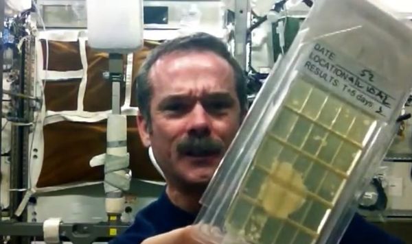 Hadfield demonstrates Microbial Air Sampling on the ISS  - Sputnik International