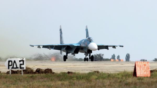 Sukhoi Su-33 multirole air-superiority fighter Sukhoi Su-33 multirole air-superiority fighter - Sputnik International