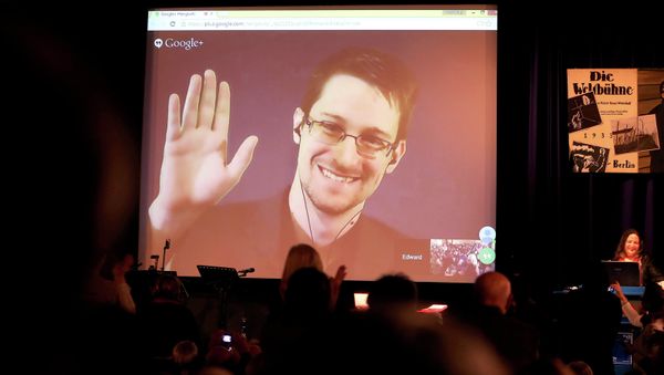 Former National Security Agency, NSA contractor and whistleblower Edward Snowden follows the 2014 Carl von Ossietzky Medal award ceremony by the International League for Human Rights via live video transmission in Berlin, Germany, Sunday Dec. 14,2014 - Sputnik International