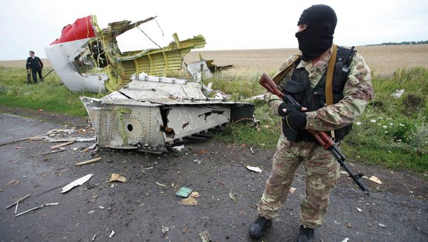 Independence supporter standing at the crash site of Malaysia Airlines flight MH17, near the settlement of Grabovo in the Donetsk region, is seen in this July 18, 2014 file photo - Sputnik International